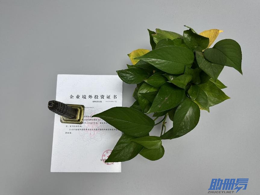 海外公司后期維護(hù)知識(shí)介紹！